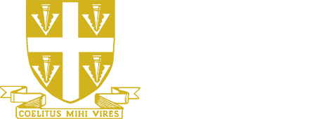 Ranelagh School